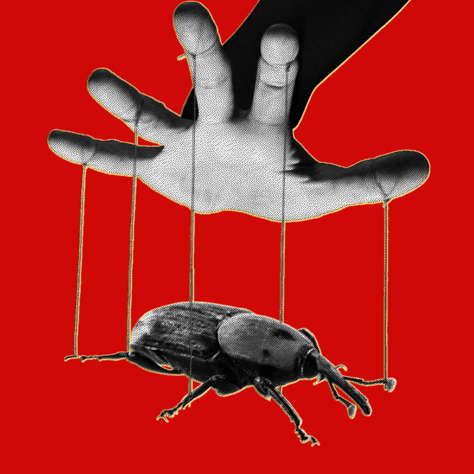 The PHP Meltdown Shows How AI Makes Bugs More Exploitable | UserInterface News